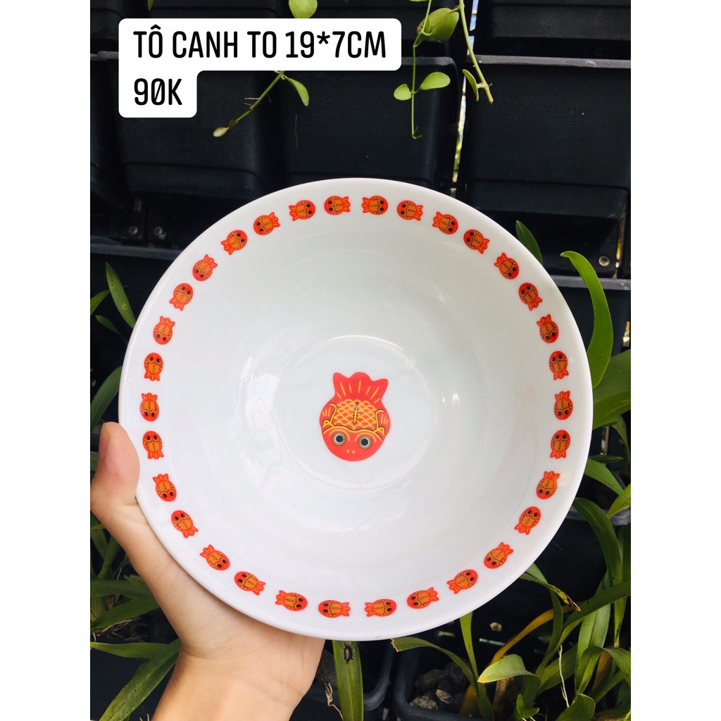 GỐM NHẬT - SET CÁ ĐỎ CỰC XINH