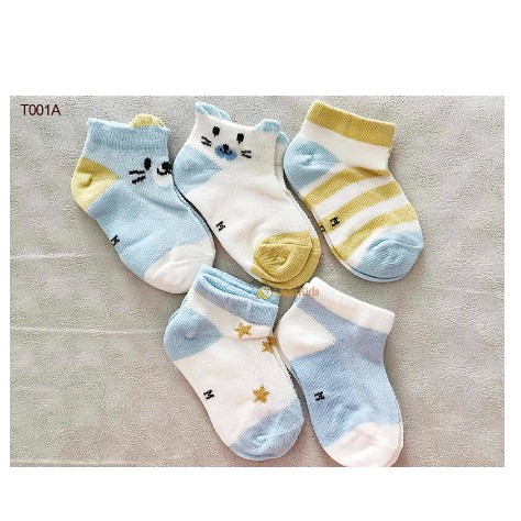 SET 5 ĐÔI TẤT KISD SOCKS CHO BÉ TRAI BÉ GÁI