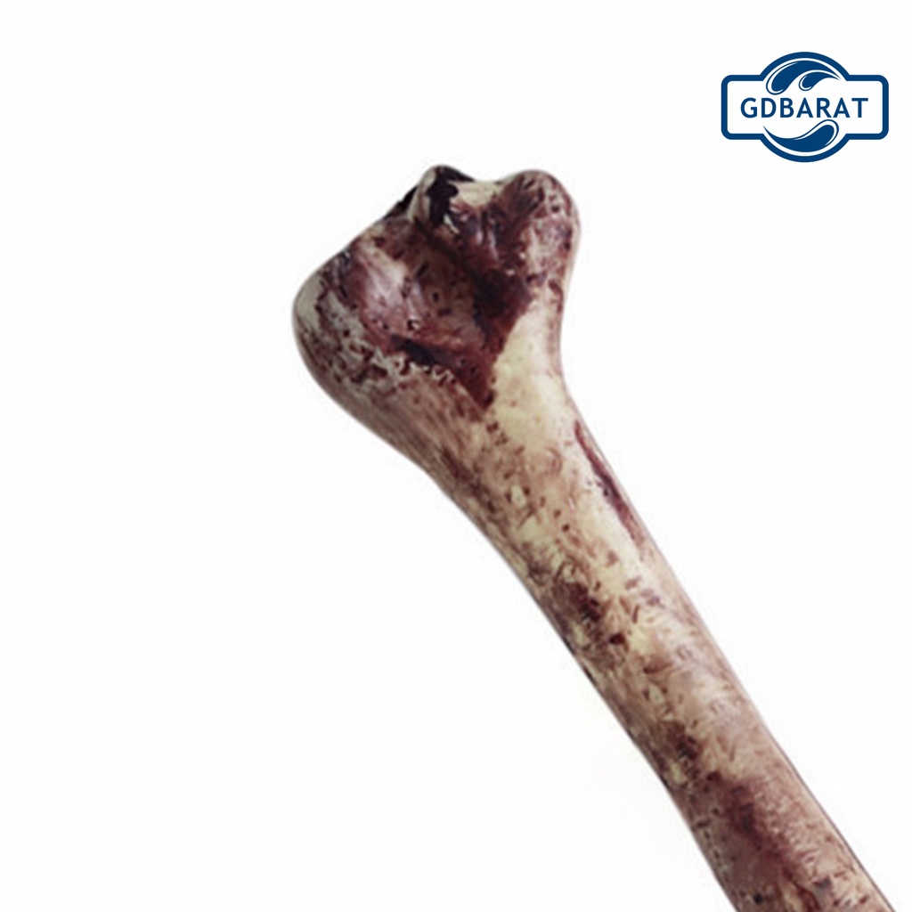 Xương Nhựa Mô Hình Trang Trí Halloween