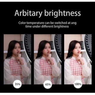 Đèn Led Ring Livestream HQ18 HL Studio