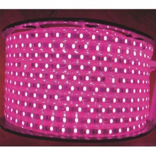 Đèn Led dây ánh sáng đủ màu giá sỉ freeship tphcm