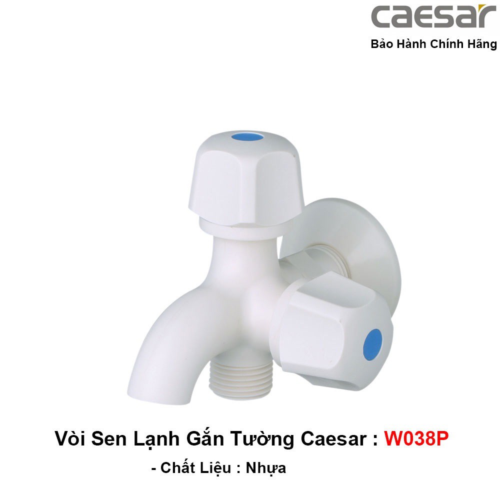 Vòi Lạnh Gắn Tường Caesar W038P