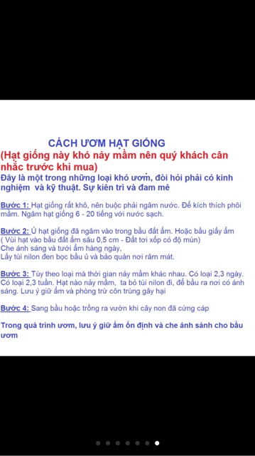 Hạt giống cây cherry