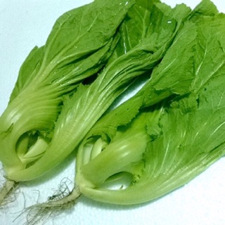 Hạt giống cải bẹ