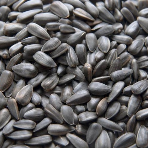 Hạt hướng dương đen Deli Nature Black Sun Flower Seeds - Gói chiết 1KG