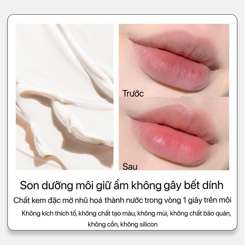 Son dưỡng PETERSON’S LAB chống lão hóa mờ nếp nhăn môi Anti-Wrinkle Lip Cream dưỡng ẩm môi mềm căng mọng PELA01