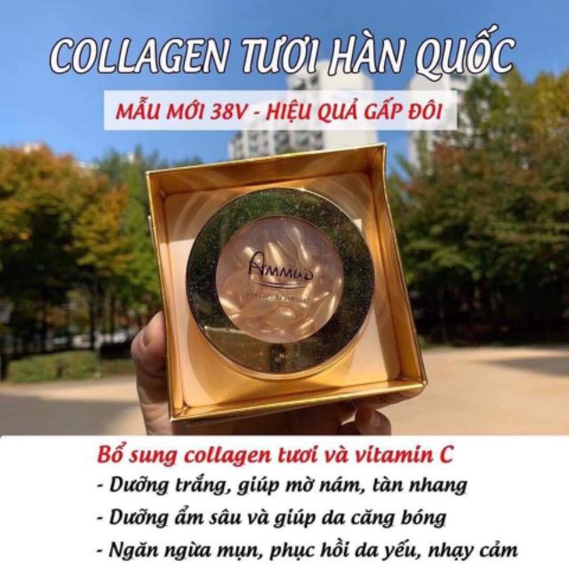 VIÊN COLLAGEN TƯƠI - AMMUD MULTI VITA AMPOULE HÀN QUỐC | BigBuy360 - bigbuy360.vn