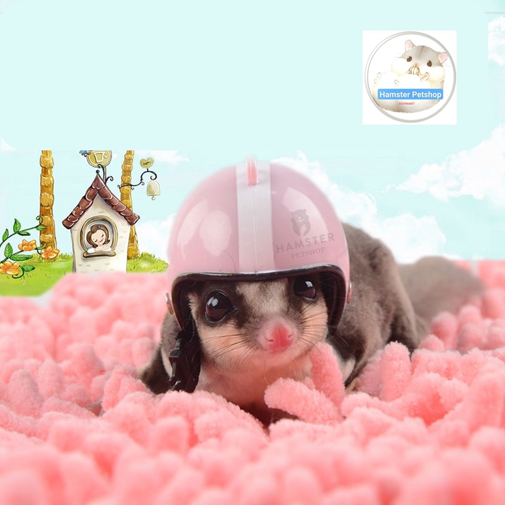 Mũ bảo hiểm cho Hamster, chim,  gà