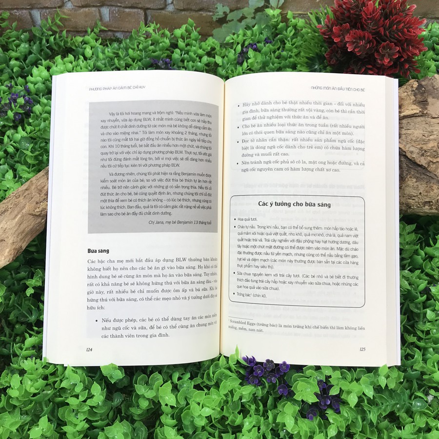 Sách - Combo Ăn Dặm Kiểu Nhật và Phương Pháp Ăn Dặm Bé Chỉ Huy (có chọn lẻ) | BigBuy360 - bigbuy360.vn