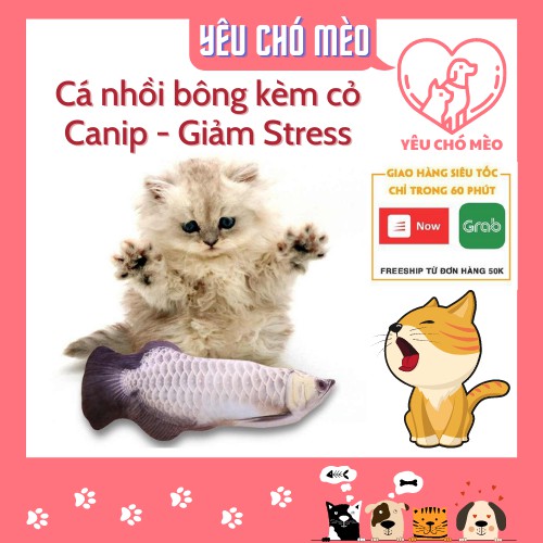 Đồ chơi thú nhồi bông hình con Cá kèm cỏ bạc hà giảm căng thẳng cho mèo