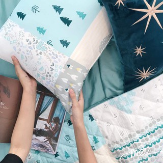 KC Đôi vỏ Gối Thô Lụa Hàn Quốc dành cho Người Lớn