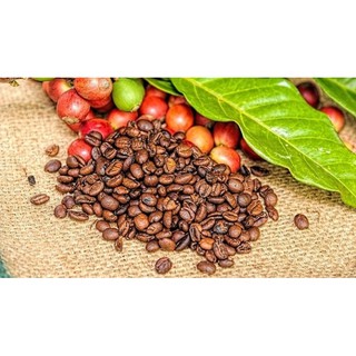 [ CAFE ĐAKLAK ] 500g CÀ PHÊ NGUYÊN CHẤT PHA PHIN