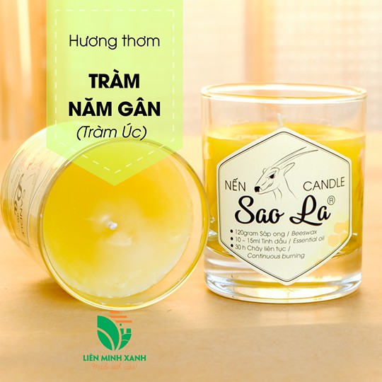 Nến Sao La Candle Hương thơm Tràm Năm Gân