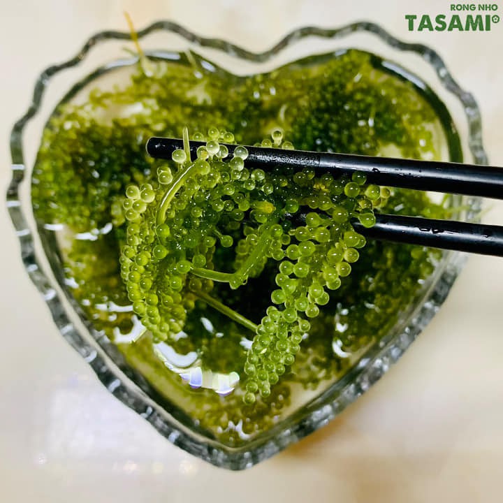 [Date mới] Rong nho tách nước Tasami mè rang, phô mai, tương wasabi theo tiêu chuẩn công nghệ Nhật Bản tươi ngon 175g | BigBuy360 - bigbuy360.vn