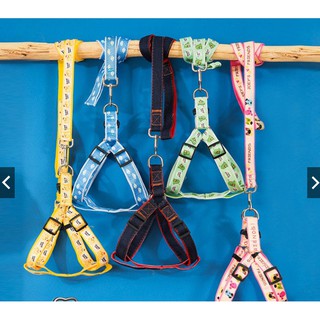 [HÀNG LOẠI 1] Dây dắt chó mèo kèm yếm cao cấp nhiều màu sắc – Dây dắt thú cưng đi dạo đủ size