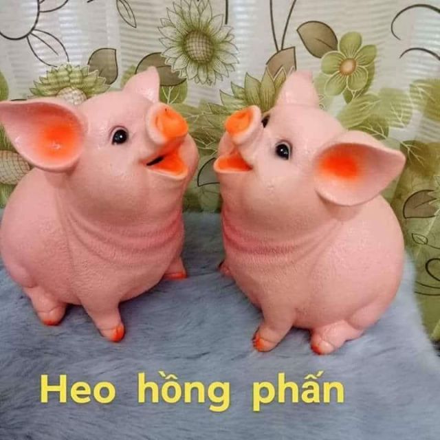 Heo đất