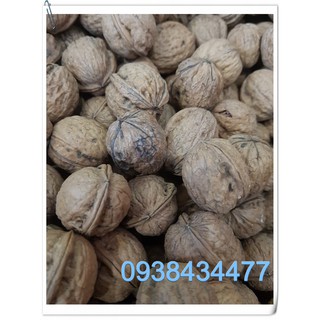 QUẢ ÓC CHÓ ĐỎ MỸ 500gr