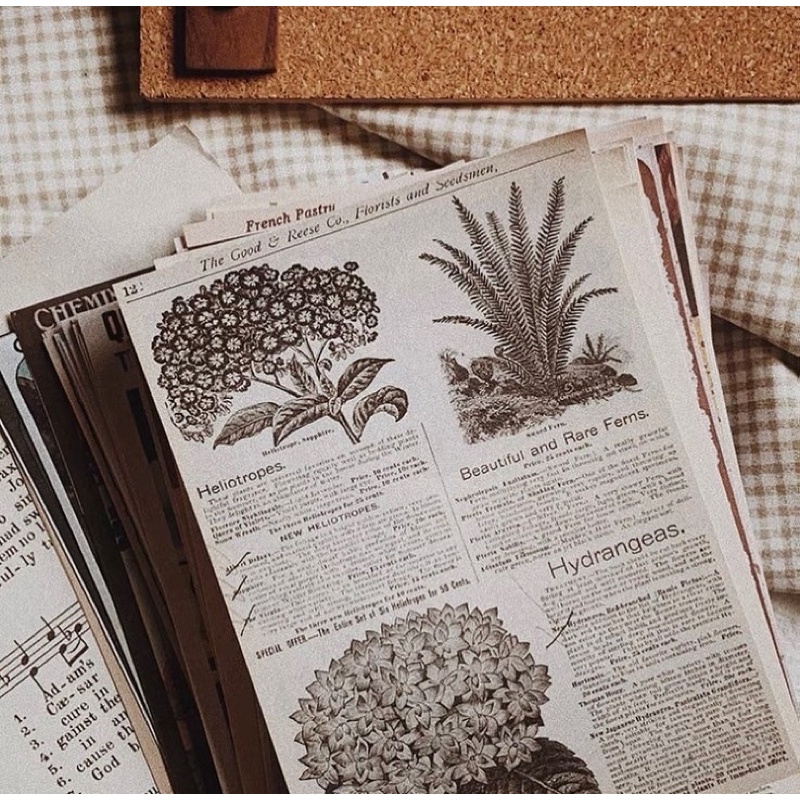 Set giấy nền trang trí vintage của Kimu