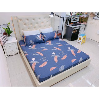 Free ship 99k bộ ga gối cotton hàn quốc 100% mẫu hoa hq54e
