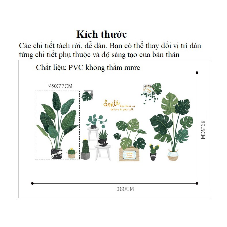 Đề can dán tường cao cấp khổ lớn B17