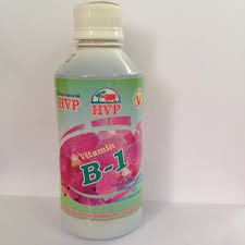 HVP-VITAMIN B1 CHUYÊN PHONG LAN VÀ HOA KIỂNG (250ML) nhập khẩu-  chuyên dụng.