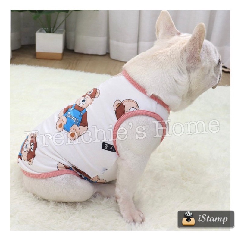 ❌ÁO SÁT NÁCH 3 LỖ "GẤU TEDDY🐻" CHO CHÓ BULL/PUG ( FRENCHIE'S SHIRT )