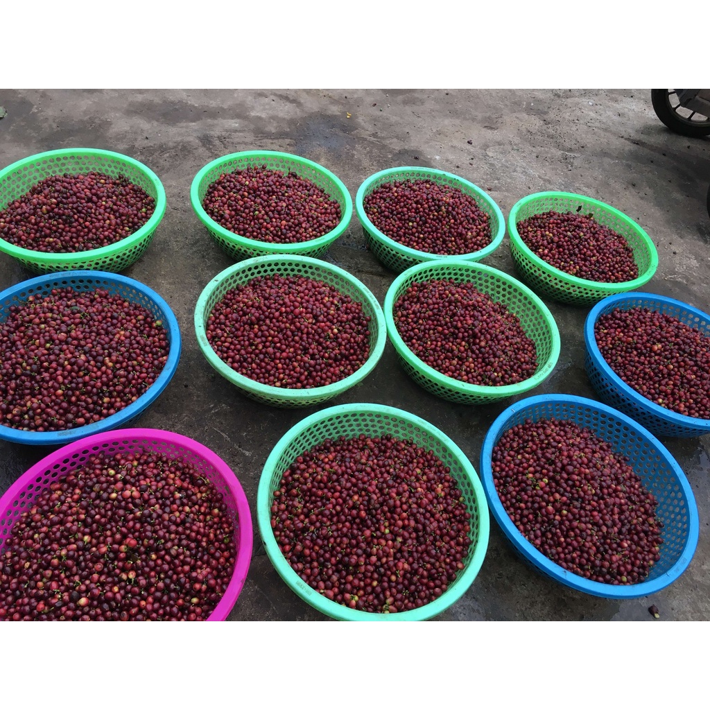 Cà phê arabica Sơn La natural gói 250gram