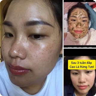 lá rừng tươi