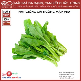 Hạt Giống Cải Ngồng Mập V80 (20gr) - Thân mập lá xanh đậm, có vị ngọt và ít sơ