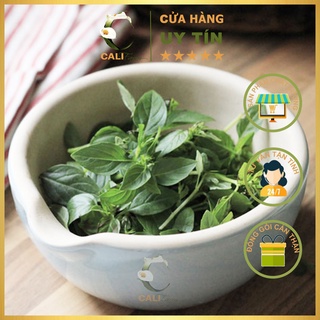 Hạt Giống Rau Húng Quế Rado 25 (10gr)