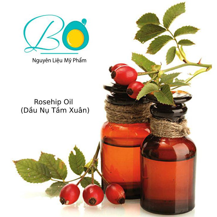 Dầu Tầm Xuân (Rosehip Oil) | BigBuy360 - bigbuy360.vn