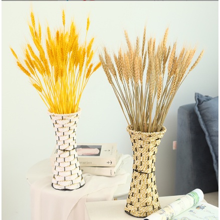 (BÓ 10-50 CÀNH) LÚA MẠCH KHÔ cắm lọ decor shop, nhà cửa. hoa khô phụ kiện trang trí chụp ảnh. bông lúa chụp ảnh food