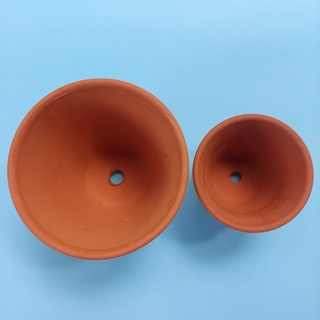 Chậu đất nung đỏ - Chậu trồng sen đá