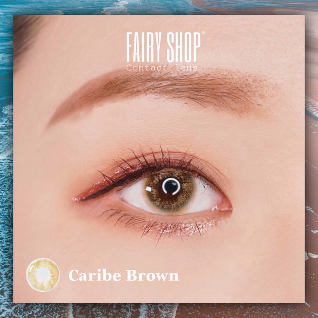 Kính Áp Tròng Pinky Bae BROWN 14.0mm - Kính Áp Tròng FAIRY SHOP CONTACT LENS - độ cận 0 đến 8