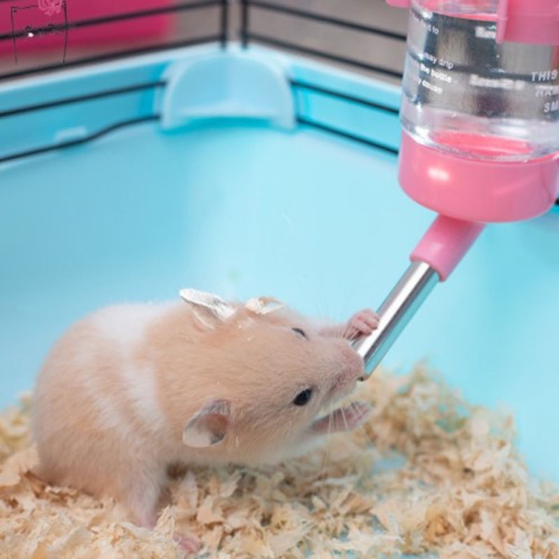 Bình Đựng Nước Uống Cho Thú Cưng 80ml