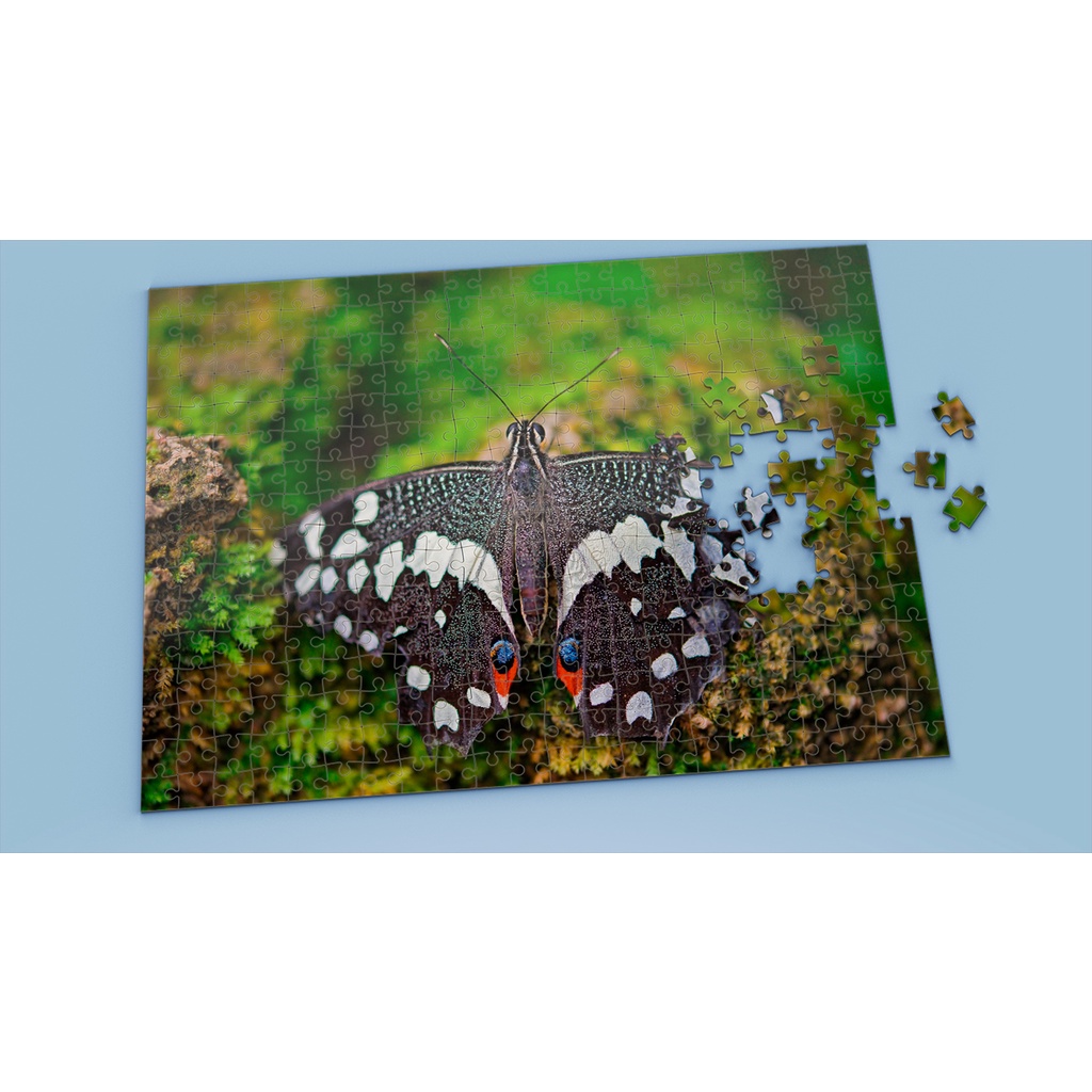 Tranh ghép hình BUTTEFLY - Mẫu 2 - Nhận in theo yêu cầu