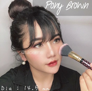 Mini Pony Brown