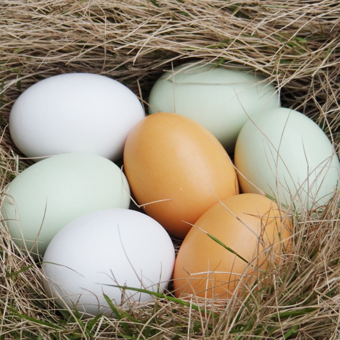 Đồ chơi mô hình quả trứng giả bằng gỗ giống như trứng thật dùng làm mô hình ổ trứng gà hoặc tô vẽ trứng nghệ thuật