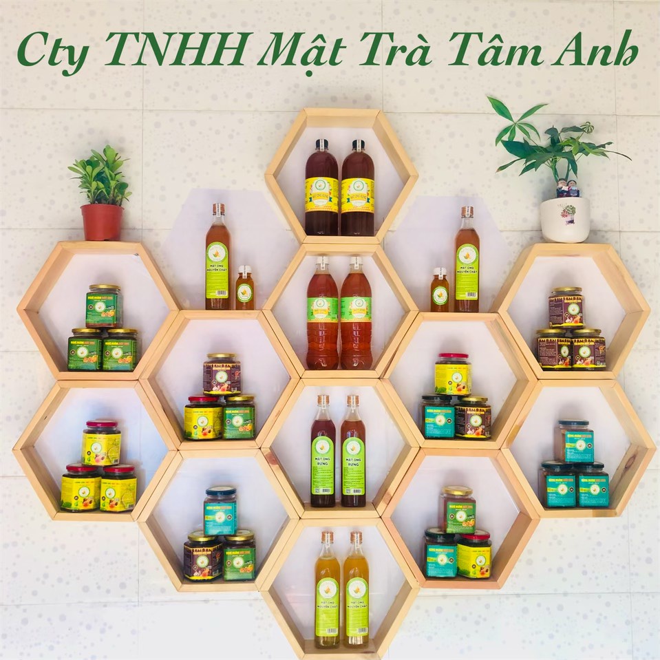 [ Mật cao cấp ] Mật ong rừng nguyên chất, mật ong rừng tự nhiên được khai thác từ Tây Bắc và Tây Nguyên. | BigBuy360 - bigbuy360.vn