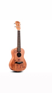Ukulele BWS 23 full pk