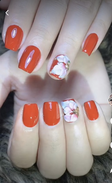 Móng tay giả nail thiết kế bộ 24móng