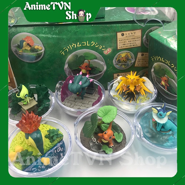 Mô hình Tiểu cảnh Terrarium Anime Manga Pokemon Huyền thoại (Bửu bối thần kì) Nhiều loại - Bóng trong suốt dễ thương