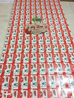 Đèn đuổi muỗi xông tinh dầu thiên nhiên ( 1 củ đèn + 2 lọ tinh dầu )