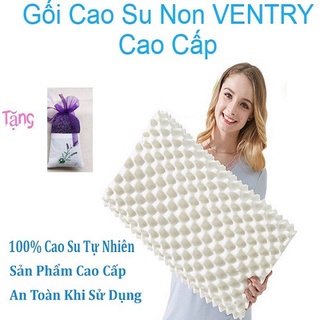 Gối cao su Ventry Thái Lan cao cấp, hàng chính Gối cao su non Ventry cao cấp nhập khẩu Thái Lan