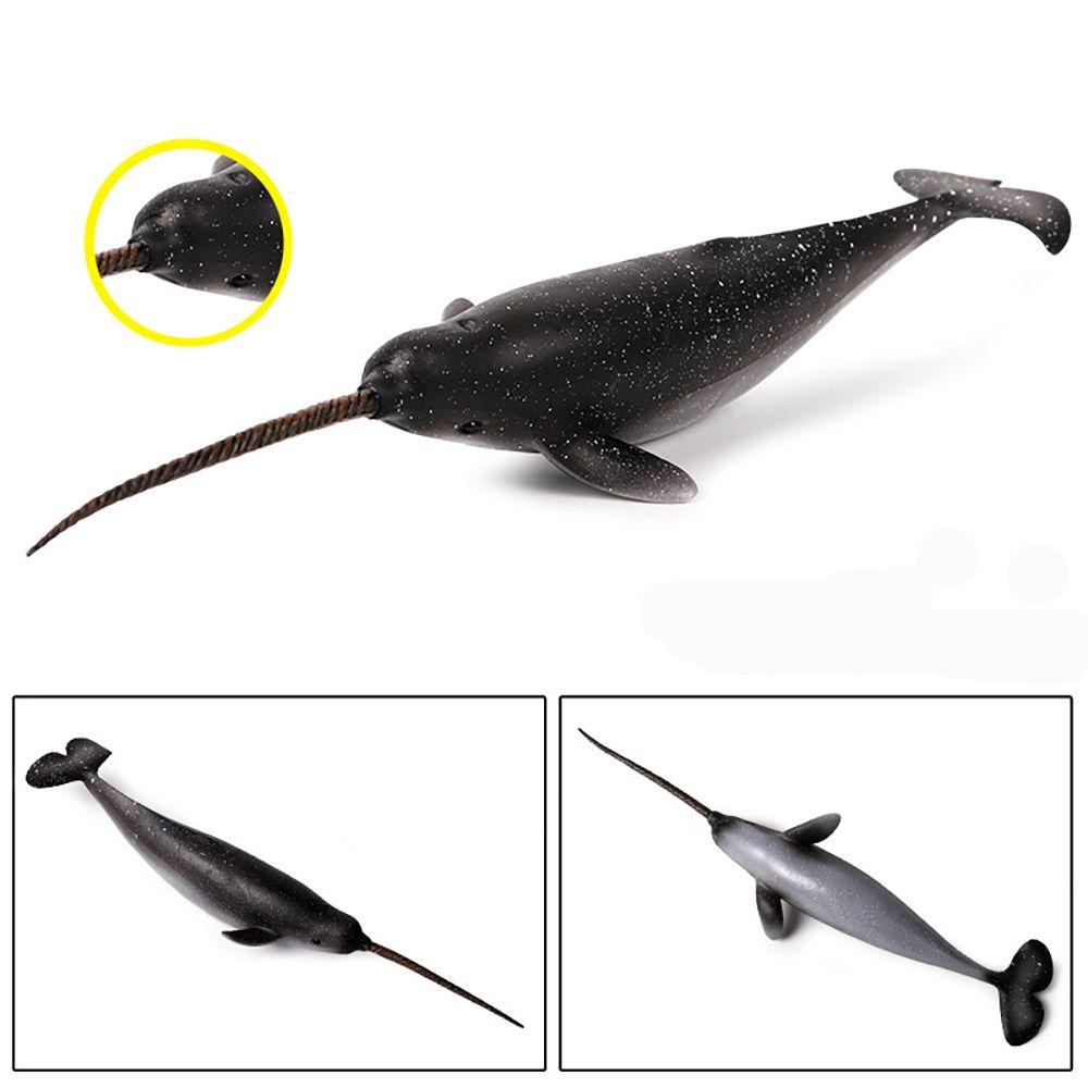 Mô Hình Narwhal Đồ Chơi Giáo Dục Khoa Học Tự Nhiên