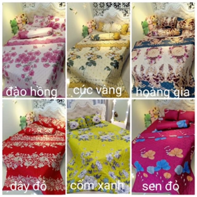 Bộ ga gối chăn hè cotton poly 5 món cao cấp
