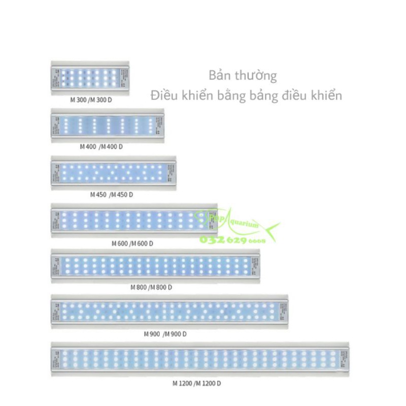 Đèn Week Raptor WRGB M-seri bản mới nhất năm 2021