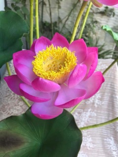 Gân hoa đất sét- gân cánh hoa sen lớn
