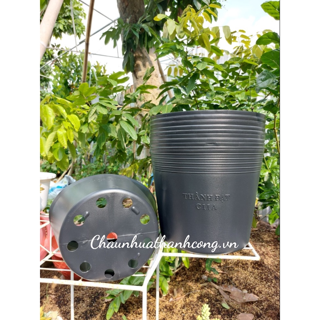 10 chậu nhựa đen dẻo, dày dặn trồng cây C11A (27cm x 22cm)