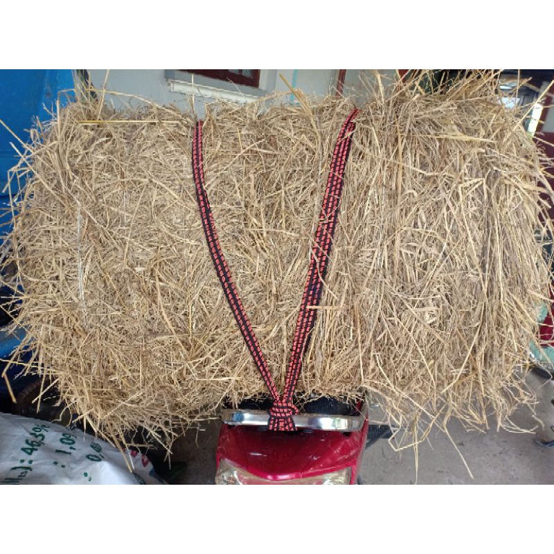 Rơm cuộn Bến Tre 13&15kg